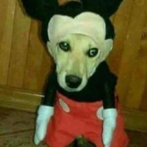 Meet your Posher, Nicholas